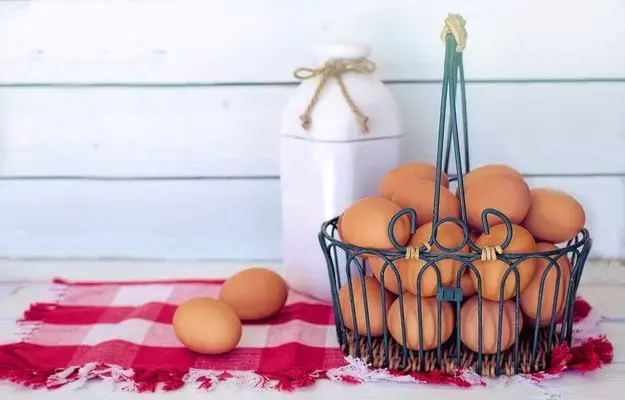 Vitamin B6 for egg quality Vitamin B6 for egg quality