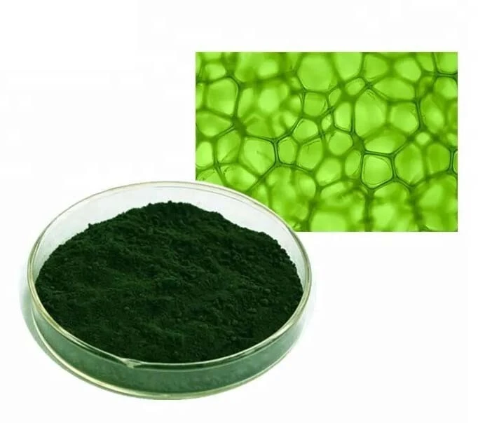 Sodium Copper Chlorophyllin Powder Sodium Copper Chlorophyllin Powder