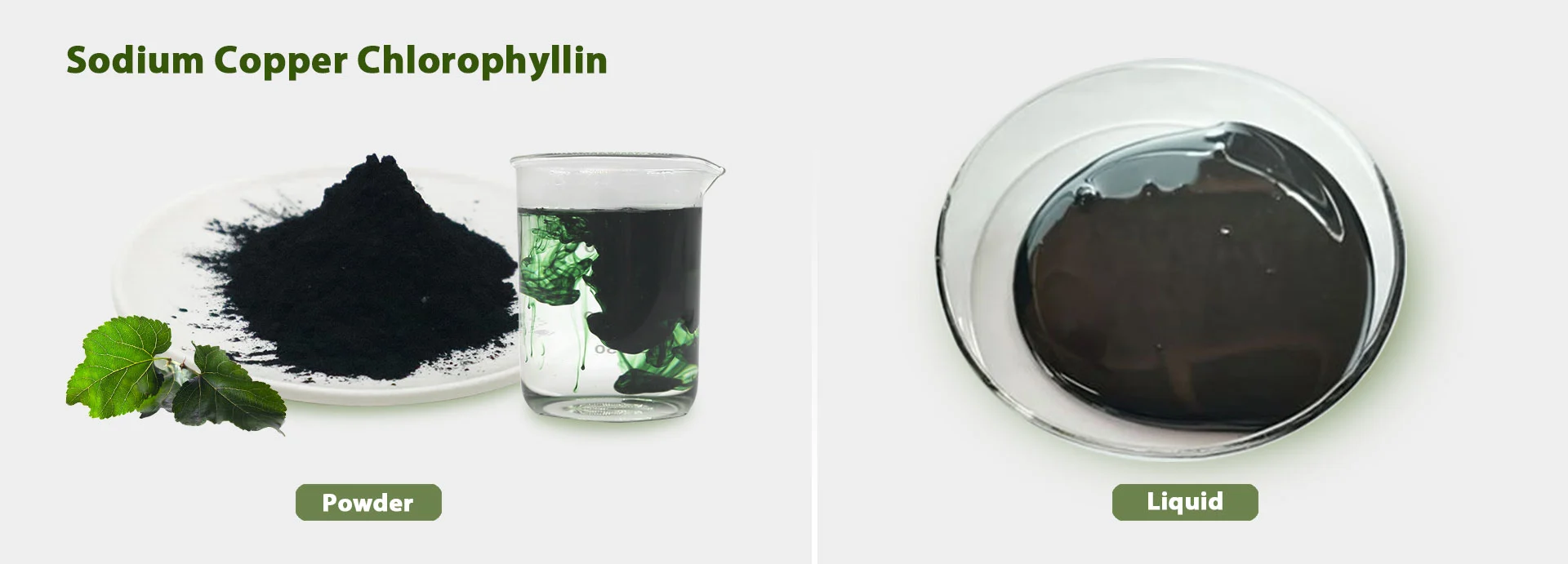 Sodium Copper Chlorophyllin Powder Sodium Copper Chlorophyllin Powder