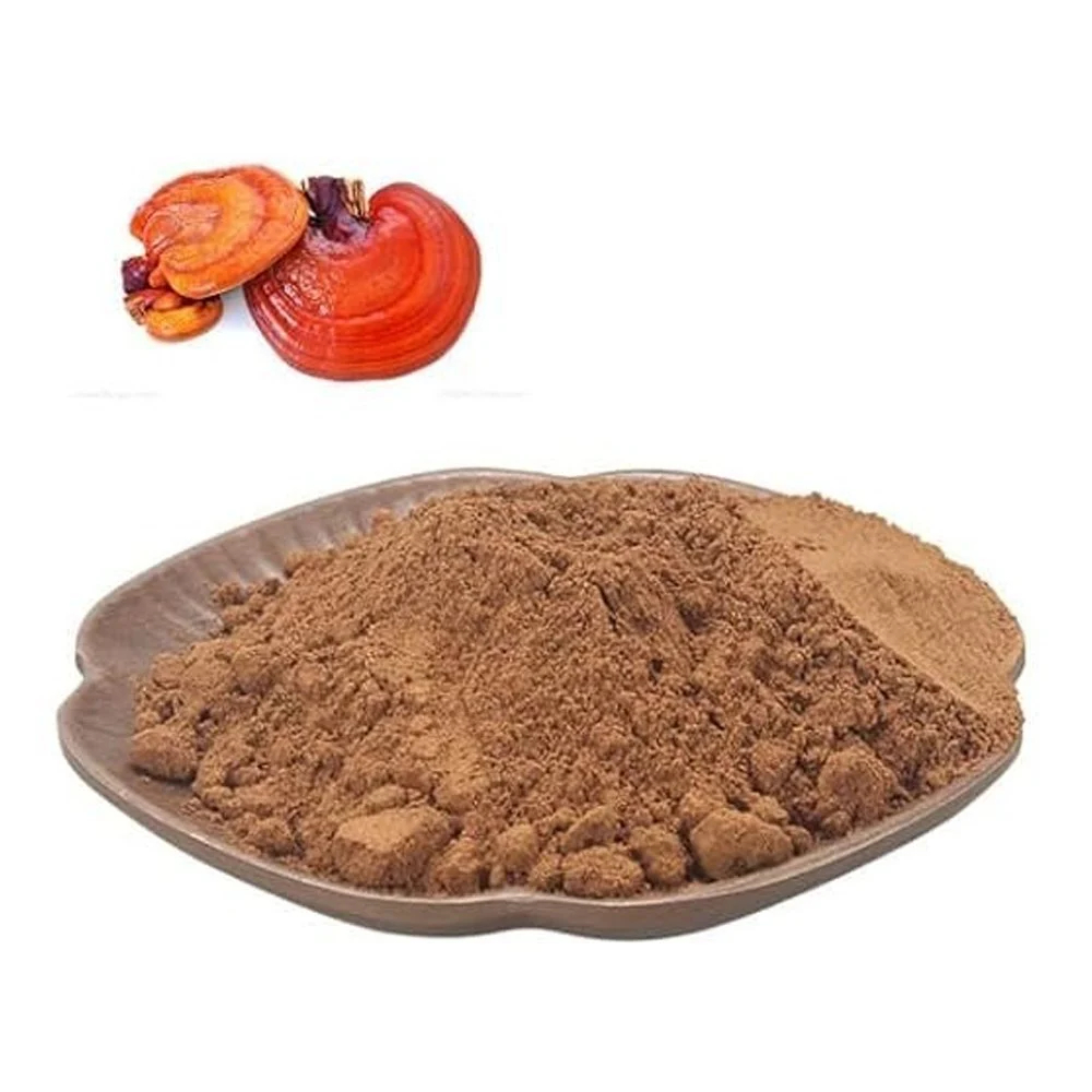 Reishi mushroom extract powder