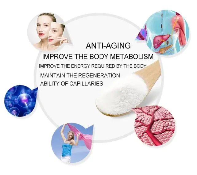 info-750-667 info-750-667