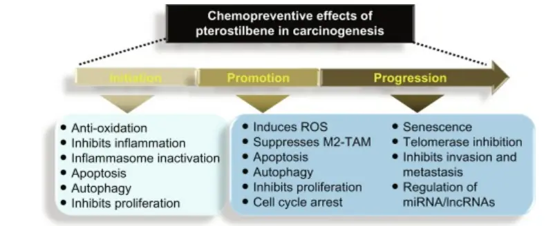Pterostilbene Benefits
