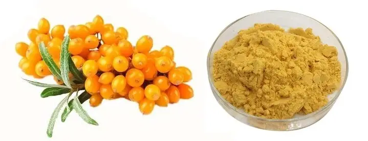 What Is Sea Buckthorn Powder Good For - Blog