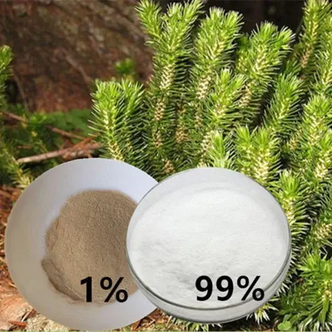 Huperzine Extract