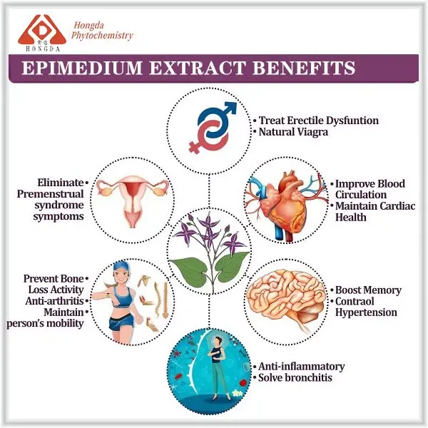 Epimedium Extract Icariin Powder Manufacturers Suppliers Factory - Wholesale Service Epimedium Extract Icariin Powder Manufacturers Suppliers Factory - Wholesale Service