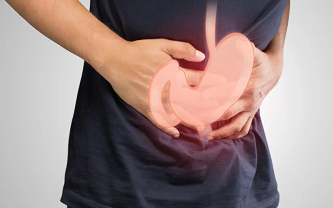 Does Lion's Mane Stimulate Stomach Mucosa Repair? Does Lion's Mane Stimulate Stomach Mucosa Repair?