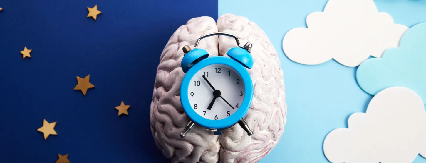 How Does Creatine Affect Sleep Quality And Sleep Cycles? How Does Creatine Affect Sleep Quality And Sleep Cycles?