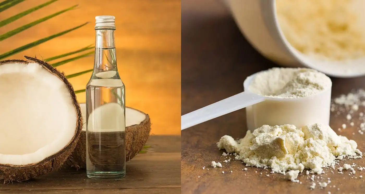 How to use MCT powder for weight loss? How to use MCT powder for weight loss?