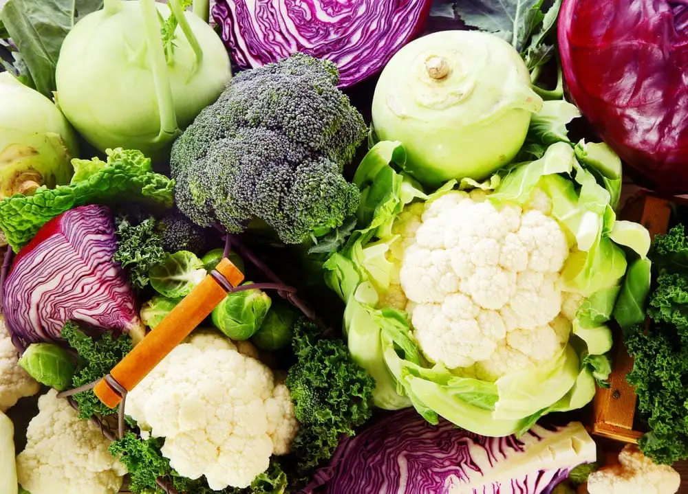 What Are Indoles in food What Are Indoles in food