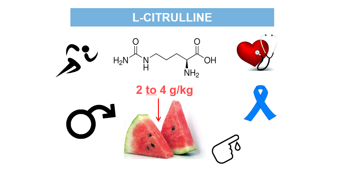 L-Citrulline Benefits