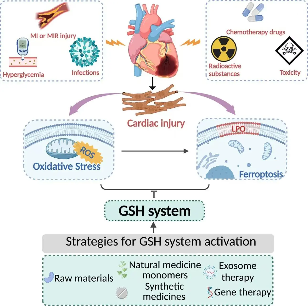 Glutathione system enhancement for cardiac protection: pharmacological options against oxidative stress Glutathione system enhancement for cardiac protection: pharmacological options against oxidative stress