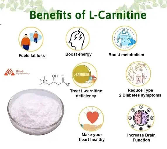  Benefits Of L-Carnitine Powder