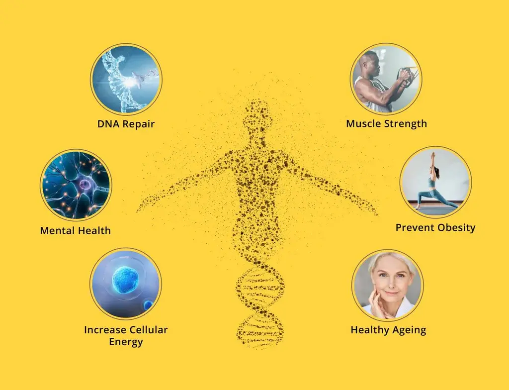 NMN Benefits | Nicotinamide Mononucleotide Benefits NMN Benefits | Nicotinamide Mononucleotide Benefits