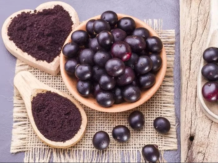 Acai berry extract powder