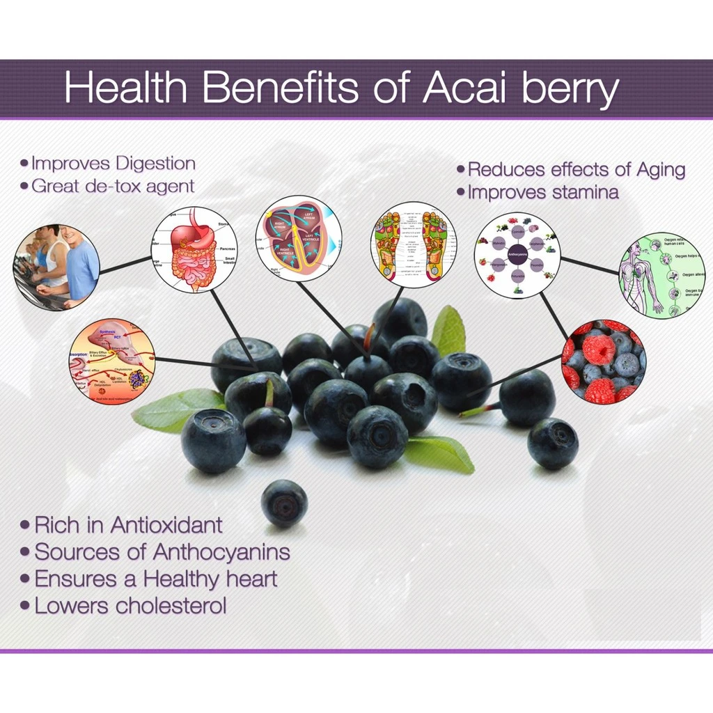 Natural Acai Berry Pure Powder Benefits