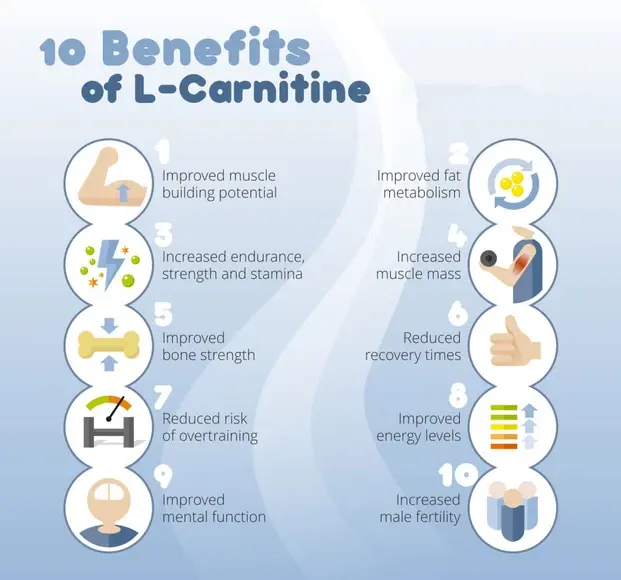 L-carnitine powder benefits L-carnitine powder benefits
