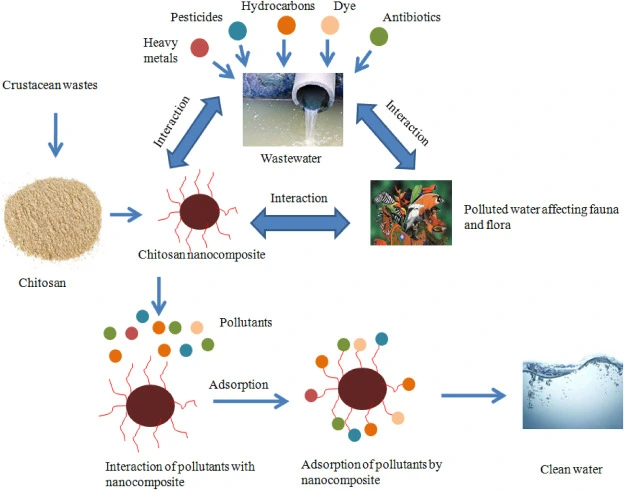 Application of chitosan Application of chitosan