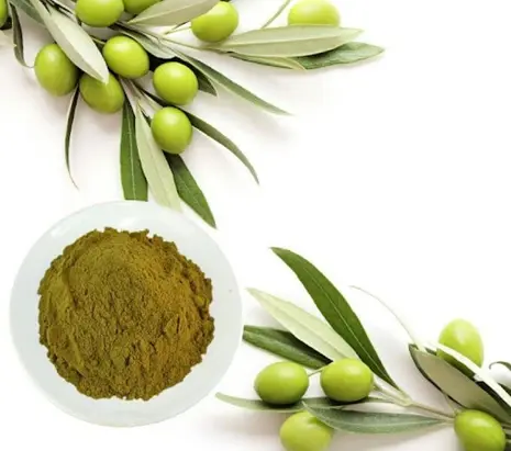 olive leaf extract olive leaf extract