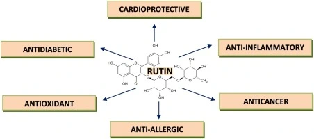 Health benefits of rutin Health benefits of rutin