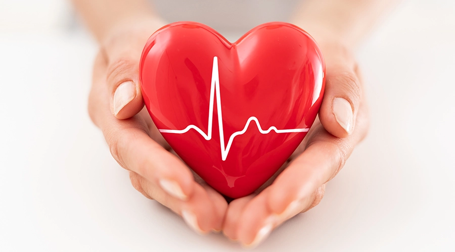 rutin for heart