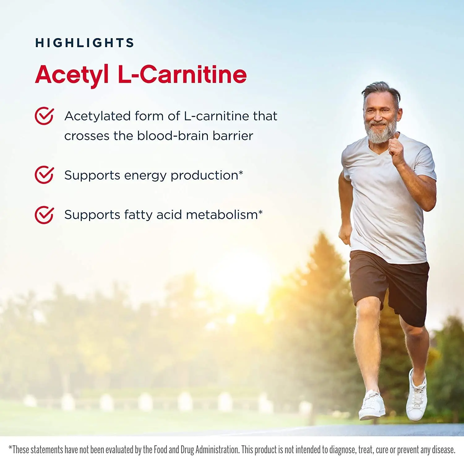 acetyl l carnitine powder benefits acetyl l carnitine powder benefits