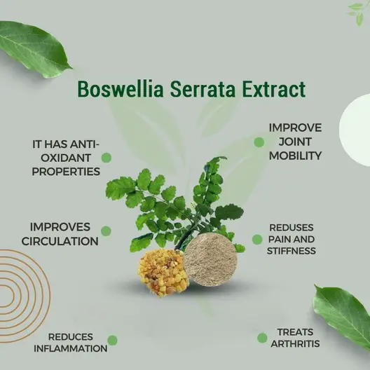 Boswellia serrata extract powder benefits