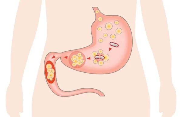 Chitosan Works for Weight Chitosan Works for Weight