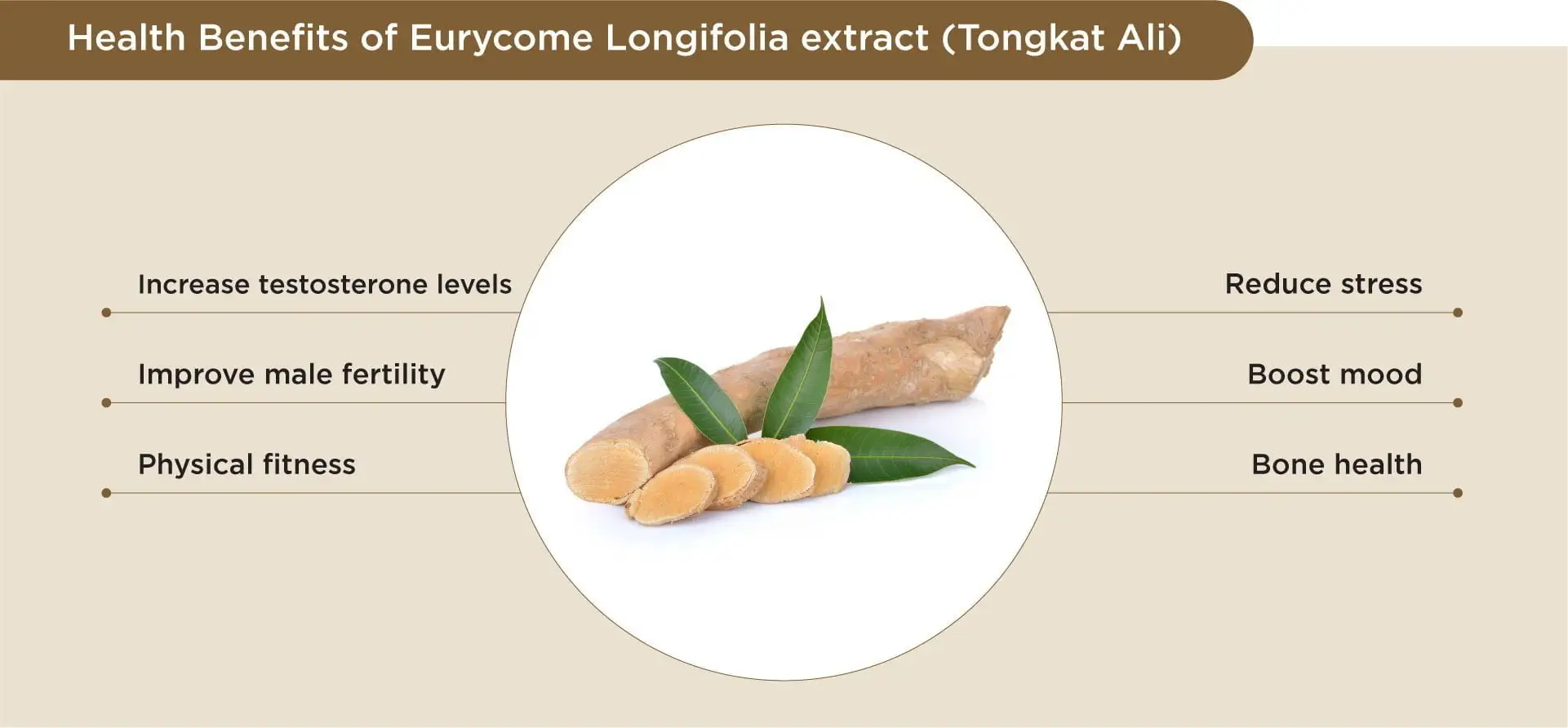 Tongkat Ali Extract Benefits