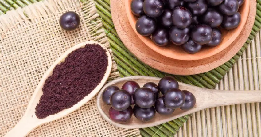 acai berry extract powder acai berry extract powder