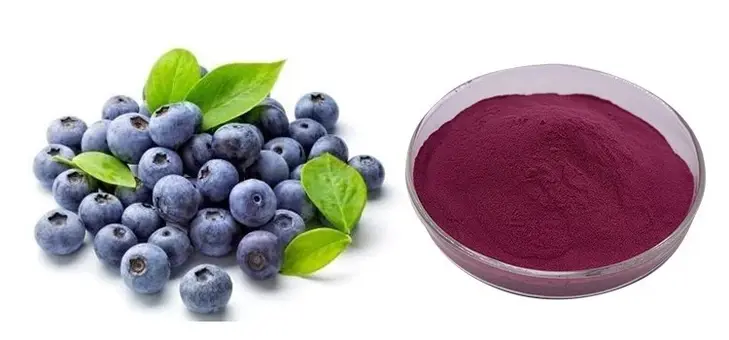 acai berry extract powder acai berry extract powder
