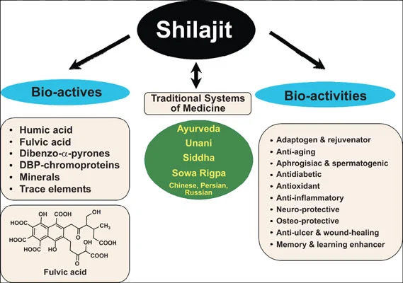 Shilajit Extract Shilajit Extract