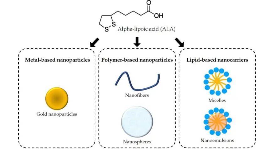 Alpha-Lipoic Acid For Neuropathic Alpha-Lipoic Acid For Neuropathic