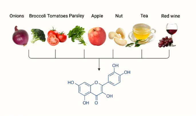 Quercetin Source Quercetin Source