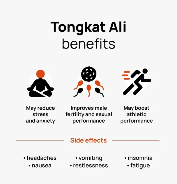 Tongkat Ali Improve Fertility Tongkat Ali Improve Fertility