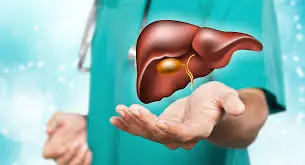 Is Taurine Powder Hard On The Liver? Is Taurine Powder Hard On The Liver?
