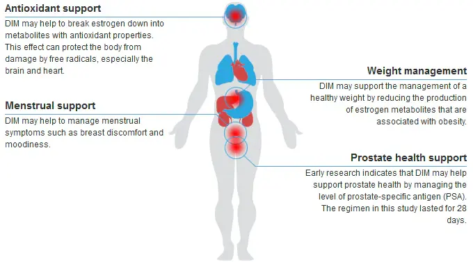 DIM 3,3 (diindolylmethane) | Health Benefits