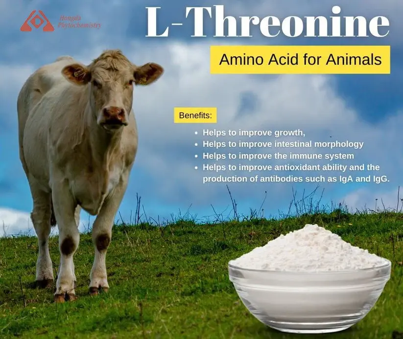 L-threonine benefits L-threonine benefits