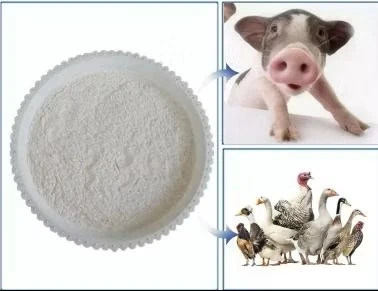 Feed Grade Amino Acids L-Threonine for Animal Nutrition - China L-Threonine  Feed Grade, L-Threonine |