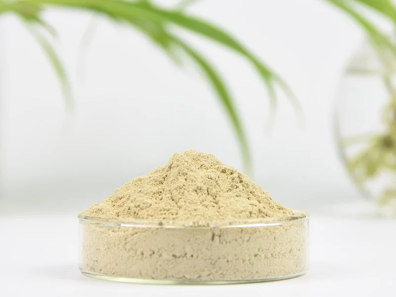 Apigenin powder Apigenin powder