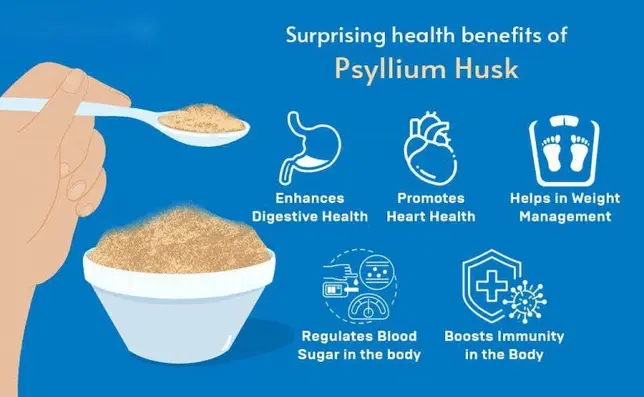 Benefits Of Psyllium Husk Powder Benefits Of Psyllium Husk Powder