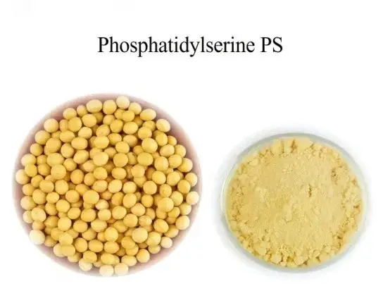 Phosphatidylserine powder bulk