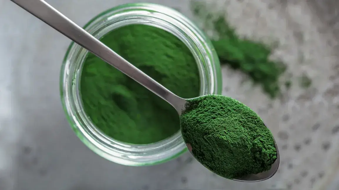 Organic chlorella powder
