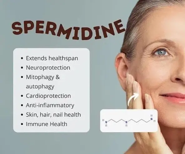 Spermidine Good For Skin