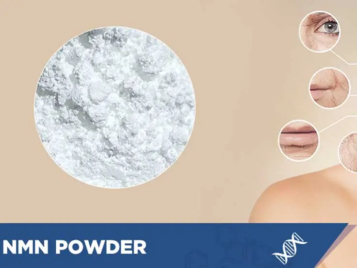 NMN Powder 