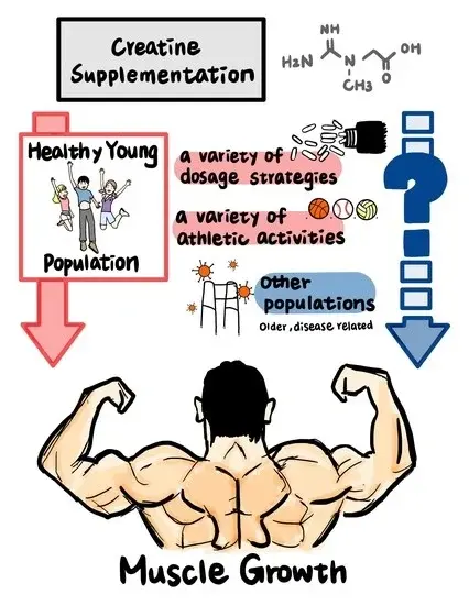 Creatine Monohydrate for Muscle Growth: A Scoping Review of Randomized Clinical Trials from 2012 to 2021 Creatine Monohydrate for Muscle Growth: A Scoping Review of Randomized Clinical Trials from 2012 to 2021