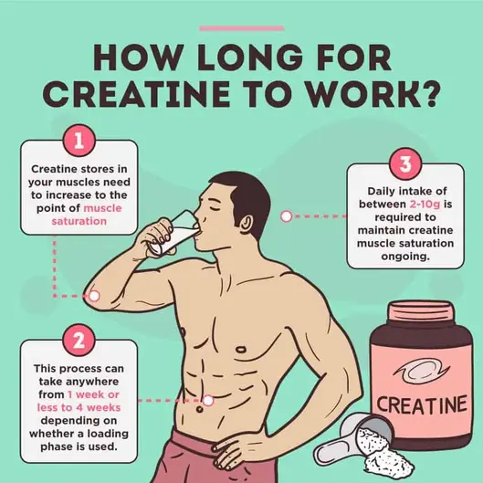 Creatine monohydrate How To Take Creatine monohydrate How To Take