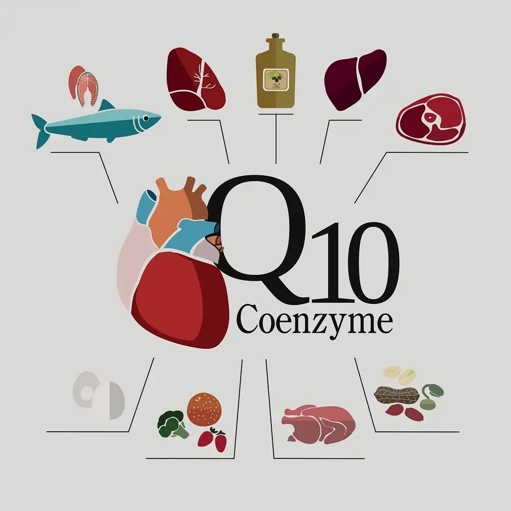 CoQ10 Health Benefits