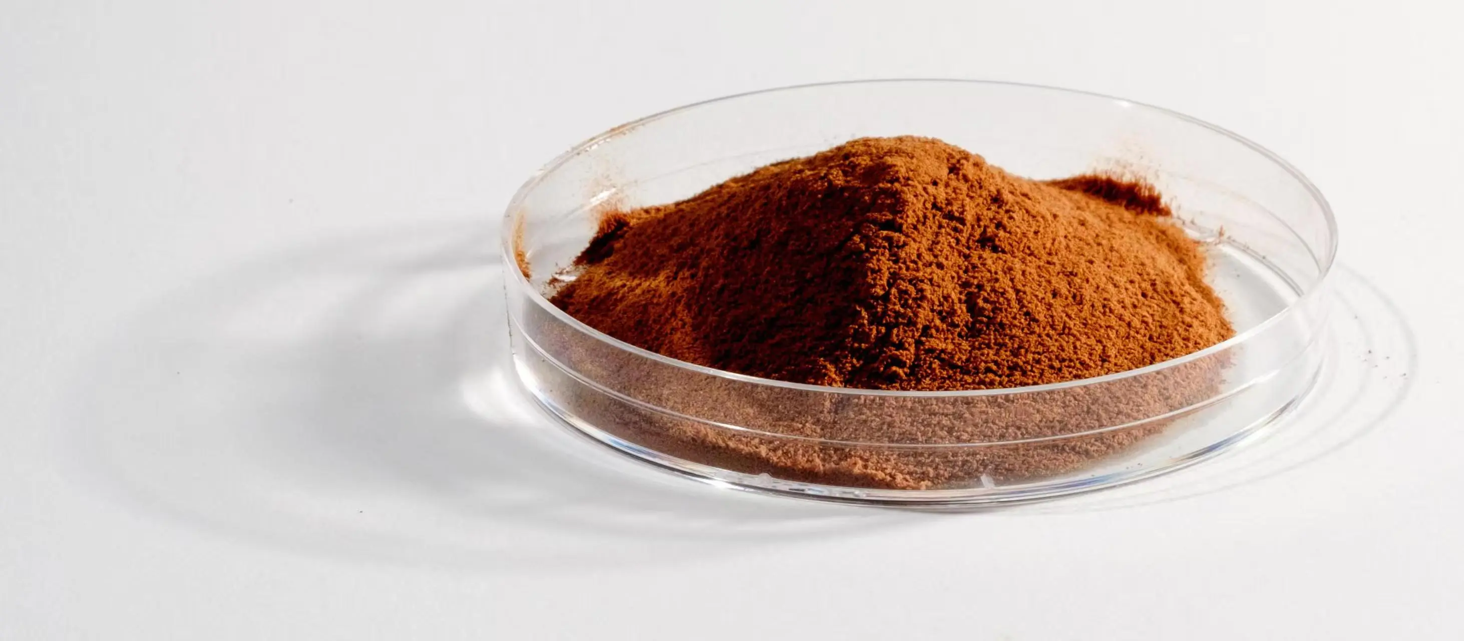 Fulvic acid Fulvic acid