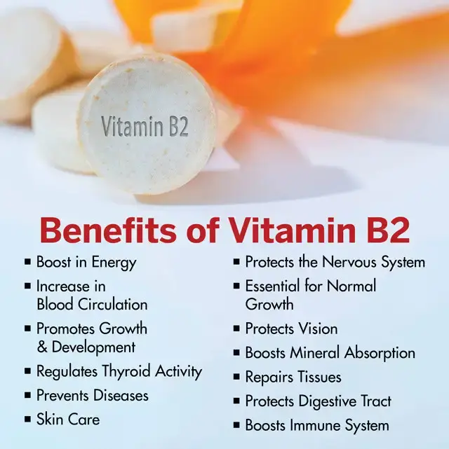 Vitamin B2 Benefits Vitamin B2 Benefits
