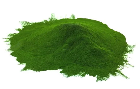 Organic Chlorella Powder - Organic Chlorella Powder -